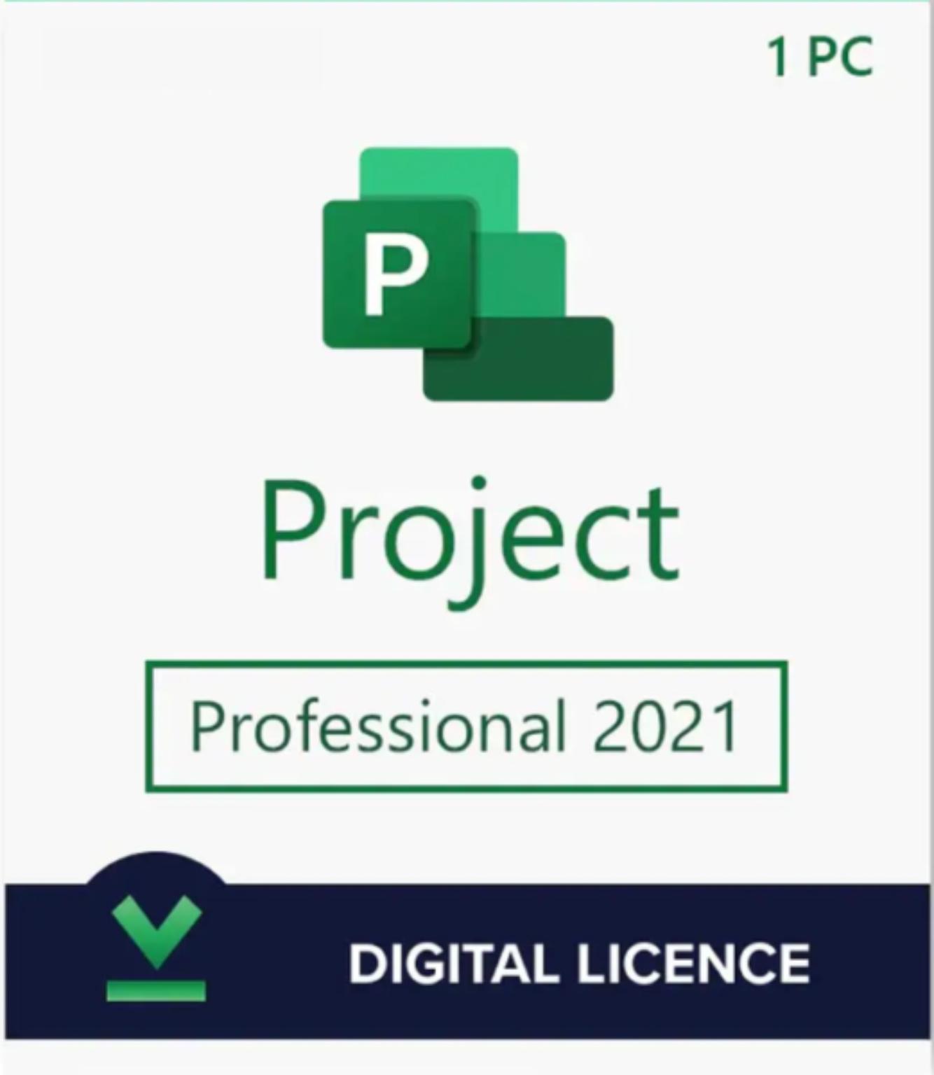Project 2021 Professional