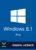 Windows 8.1 Pro Key