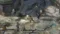 Disco Elysium The Final Cut Steam Key