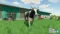 Farming Simulator 22 Steam Key