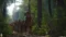 Kingdom Come Deliverance Steam Key