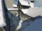Mount & Blade Steam Key