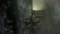 Rise of the Tomb Raider 20 Year Celebration Steam Key