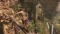 Rise of the Tomb Raider 20 Year Celebration Steam Key